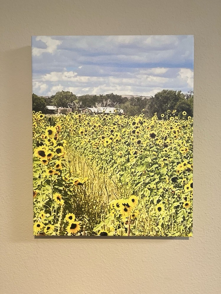 Sunflower Fields-Art Photography