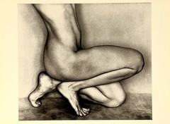 Edward Weston Art Photo Print Card By Fotofolio 4.25”x6” – Nude, 1927