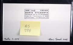 Boris Starosta 3D Stereoview – Betty C 244 – nude model signed 2008