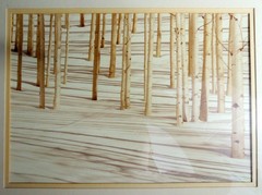 Signed Photograph- Forest Scene- Birch Trees In Snow by William Plante FREE SHIP