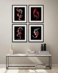 Crystal Canvas Prints Koi Fish Photography Prints – Set of 4 (11×14) Inches G…
