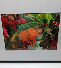 Fall Montage 176 Framed Photography Print Artist Signed Autumn