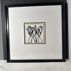 “Tulipes” by Regis D’Audeville French Photographer and Artist 1996