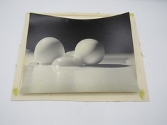 Signed David William Ginsburg photograph 2 Eggs 1 Yolk b&w food photo scientific
