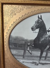 VTG Jay A. McClasky Fox Hunt Horse Saddlebred ~Copper Frame~Photograph /Signed