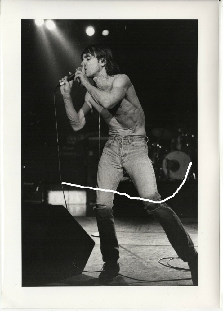 30x21cm vintage archive photo 1991 music rock singer punk iggy pop photo F