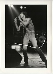30x21cm vintage archive photo 1991 music rock singer punk iggy pop photo F