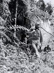 Fidel Castro in the Sierra Maestra – Iconic Jungle Portrait by Korda