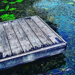 MH Nature & Landscape Photographs – Flowers Trees Water Landscapes 16×20 Canvas.