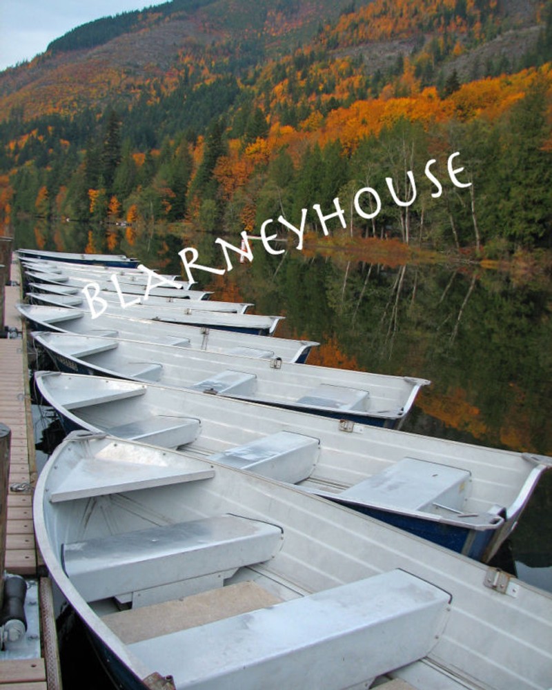 ROW OF BOATS IN THE FALL 8 x 10 Photo! Pacific Northwest! Autumn! LOOK!