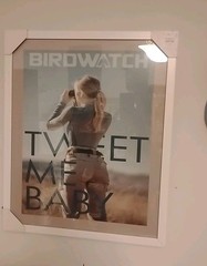 Photo Art 16” X 22” Framed