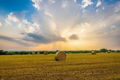 Country Photography Print – Picture of Hay Bale Under Stormy Sky in Oklahoma