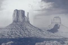 Anthony J. Beckish Mittens & Thundercloud Signed Art Photograph Print Thunder