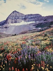 Signed Limited Edition Aaron Goldenberg 35mm Art Photograph, Utah 39×24 Framed