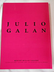 Julio Galan By Robert Miller Gallery 2001 My Mirrors Exhibit Paperback Art