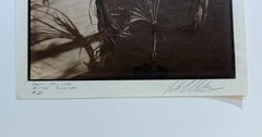 AMERICAN ARTIST ROBERT J. STEINBERG SIGNED TITLED DATED PHOTOGRAPH – «PALM»