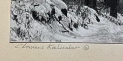 Original CLEMENS KALISCHER ‘Path in the Woods POWNAL VERMONT’ Landscape PHOTO