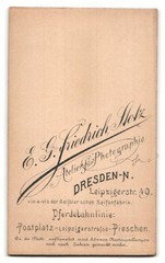 Photograph E. G. Friedrich Stotz, Dresden, Leipzigerstraße 40, young lady in sa