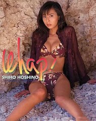 Shiho Hoshino Female Idol Photo Book Japan Ships Region Coded