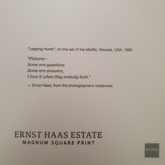 ERNST HAAS – ESTATE STAMPED PHOTO – MAGNUM SQUARE PRINT LIMITED EDITION