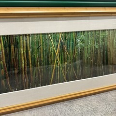 Peter Lik «Bamboo» 1.5M Framed Picture SOLD OUT – With COA