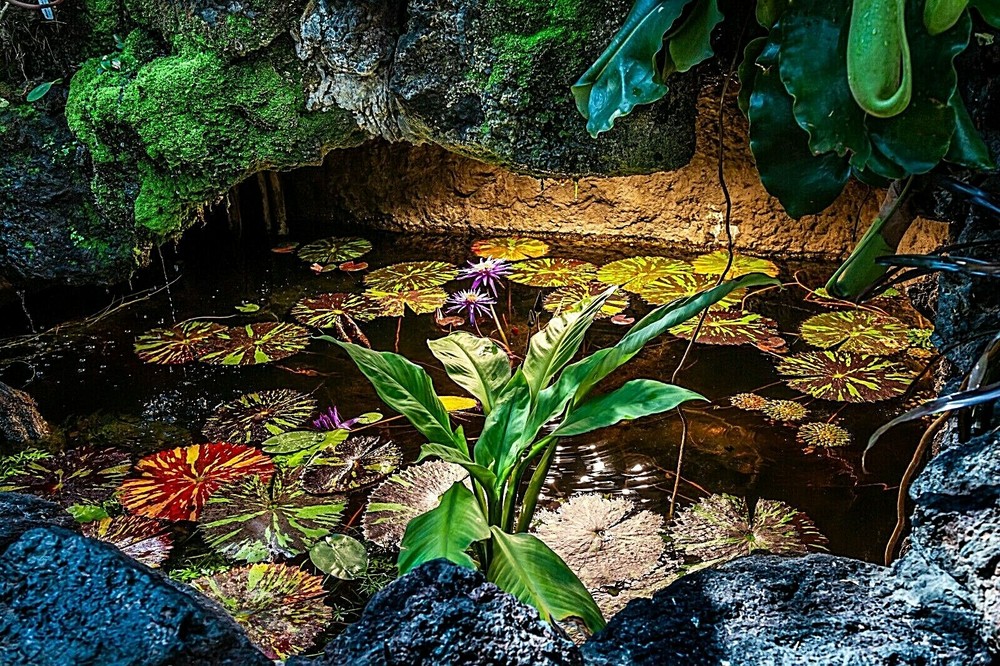SHE SHED pictures 12 x 18 Picture HDR Fine Art Print