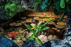 SHE SHED pictures 12 x 18 Picture HDR Fine Art Print