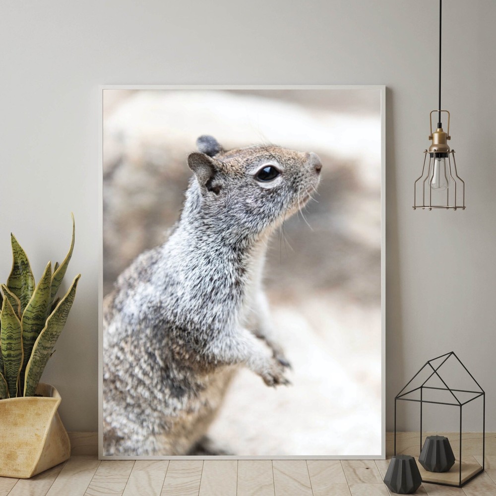 Cute Squirrel Close Up Photo Wall Print, Wildlife Nature Photography Yosemite NP