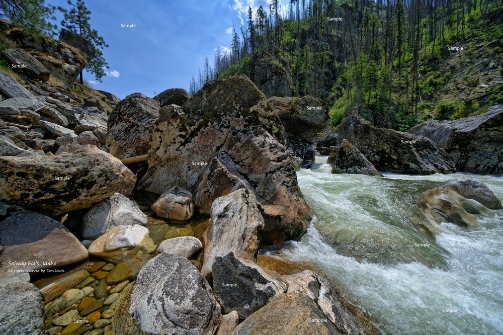 Selway Falls #3 Selway River Nez Perce National Forest Idaho Photo Print SE03