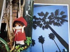 🎈SIGNED! Daido Moriyama – UWAJIMA / cover by Saiko Otake, Limited Ed Super RARE