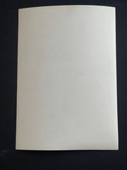Rare Vintage Original Photo Siegel Stockman Mannequin Female Fetish Curiosa