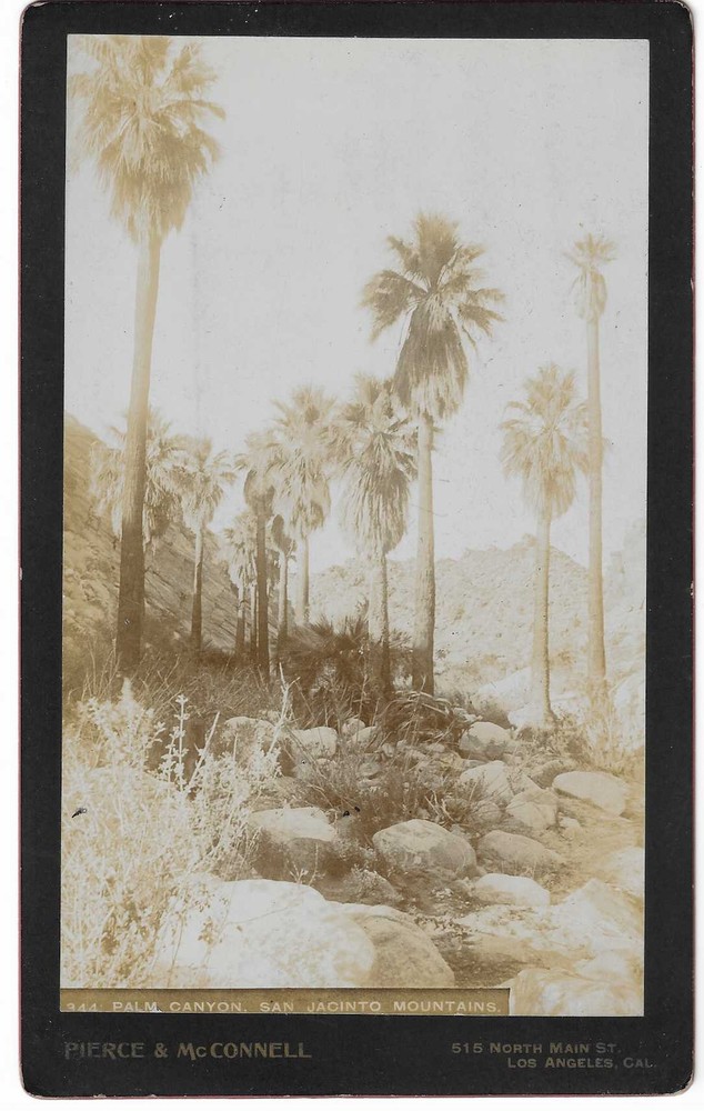 Charles C Pierce, Abarim E McConnell / Palm Canyon San Jacinto Mountains 1893