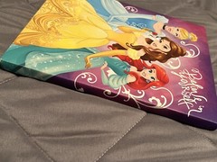 Disney Princess Believe In Your Self Approximately 6.5×8.5 Canvas