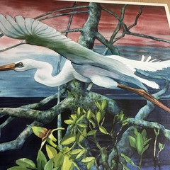 Egret In Flight: Fine Art Print “ Quiet Sunset” Vernon L Good 24.5 X 35” Overall
