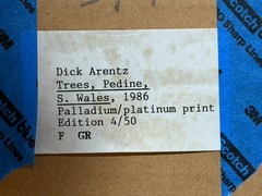 Dick Arentz, Trees, Pedine, S. Wales, 1986, Palladium / Platinum Print