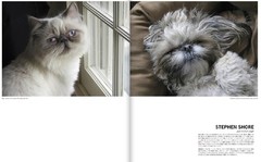 Japanese Photographic magazine «IMA» vol. 7 2014 super rare