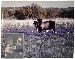 Lady Bird Johnson / Large Color Photo Inscribed to Akhtar Hussein 1984