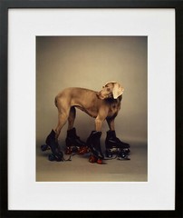 WILLIAM WEGMAN ‘Roller Rover’, 1987 SIGNED Ltd. Ed. Photograph 14 x 11 in. *NEW*
