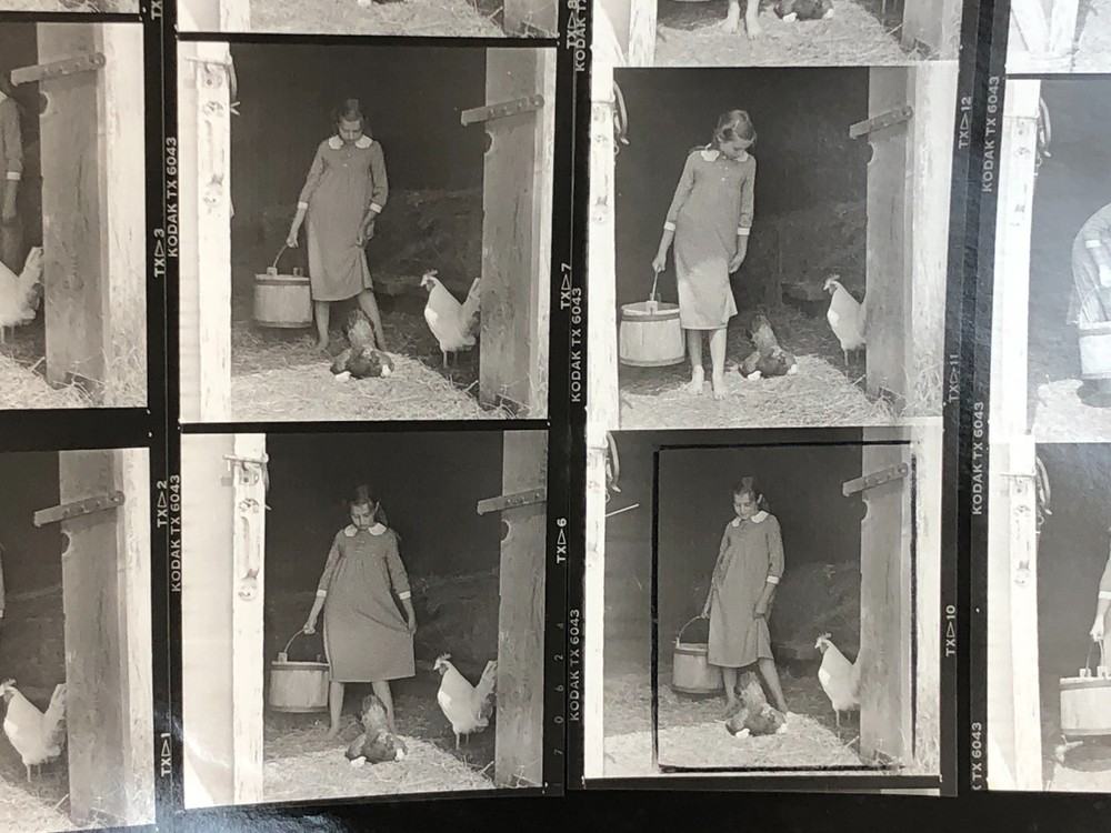 NEWLY FOUND! Hendrickson PHOTO Contact Sheet Proof/Negs FARM GIRL FEEDS CHICKENS
