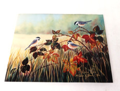 3 VTG Bird Photographs Pictures Signed, Limited Editions Quail Chickadee Nature