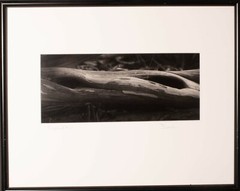 Fine art Black and white photograph «Driftwood Eyes». By Daniel Michael Sierchio