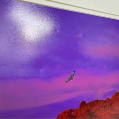 Debbie Yarra Nature’s Light Photography Print Hawk Spirit Soars in the Garden