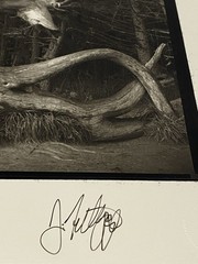 Jim Fitzgerald Twisted Elk Shore Acres Signed Photograph Carbon Transfer