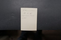 Photo Portrait Woman Lady Grandma Birkenwerder 1926 Garden View Described Model