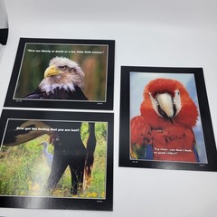 PHOTOGRAPHY Art MEME Prints Lot 3 Humorous Birds Animals Nature Photo – HW033