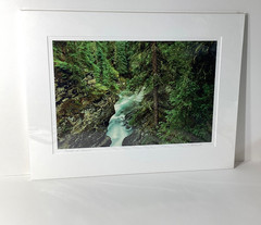 Fine Art Photograph Forest of Dreams Canadian Rockies Landscape Signed & Matted
