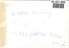 40001665 – 2252 St. Peter-Ording Luys Boutique St. Peter-Ording