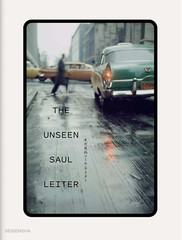 The Unseen Saul Leiter Photo Photography Art Book Margit Erb Parillo 2022 Japan
