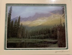 JAMES THOMSON SIGNED PRINT PHOTO MOOSE MARSH MONTANA Glacier National Park
