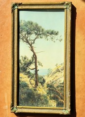 FREDERICK W. MARTIN Hand-Tinted Hand-Color Photo Torrey Pines 8.75″ x 4.75″ VGC